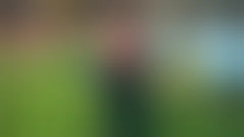 Duncan McRae punches Ronan O'Gara