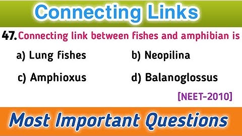 MCQs on Connecting Links - Evolution - NEET 2023