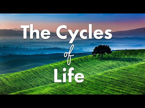 If You Want Something New, Do This | Inspirational Messages from Ilchi Lee