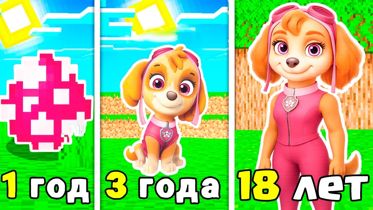 КАК МЕНЯЛАСЬ СКАЙ ЩЕНЯЧИЙ ПАТРУЛЬ В МАЙНКРАФТ