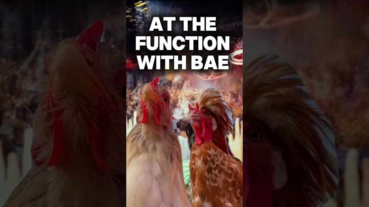 Sleduj AT THE FUNCTION WITH BAE #festival #festivevibes #rave #dubstep #reggaeton na YouTube Sleduj AT THE FUNCTION WITH BAE #festival #festivevibes #rave #dubstep #reggaeton na YouTube