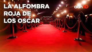 De La Alfombra Roja Del Oscar La Barbie De Camila Y Bad Bunny I Extra40