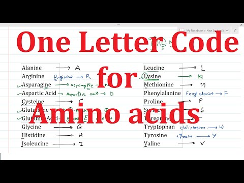 Video: Ce aminoacid este Agu?