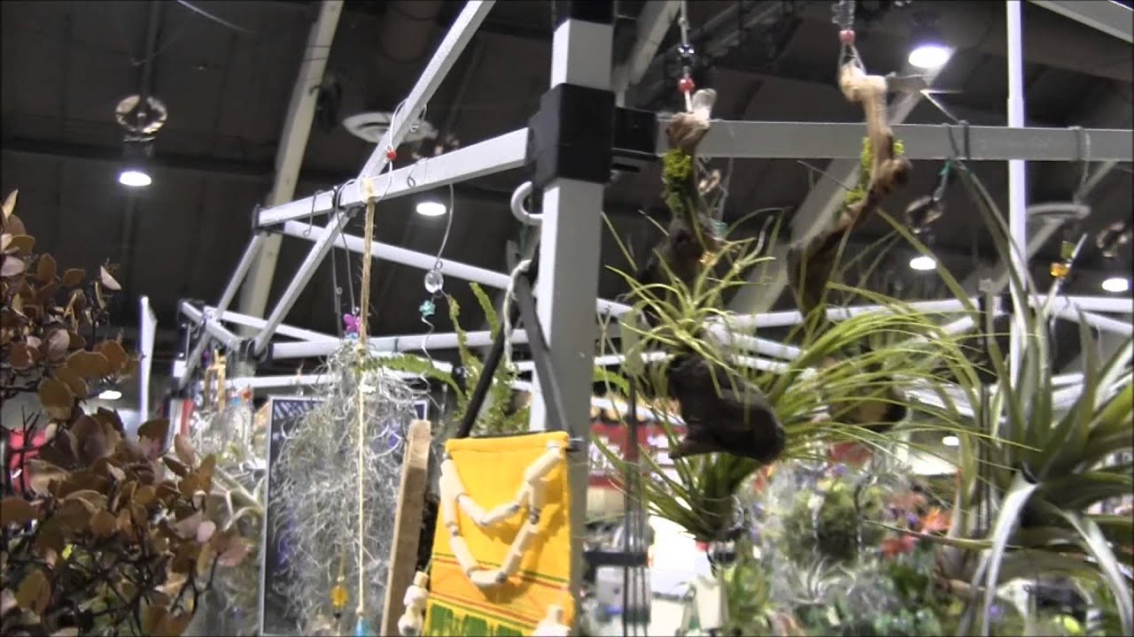 Pomona Reptile Super Show, 2014 - Part One - YouTube