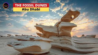 FOSSIL DUNES ABU DHABI