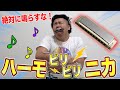 絶対にならしてはいけないビリビリハーモニカがめちゃめちゃ面白かった！Attack on Biribiri harmonica