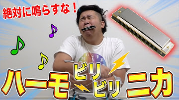 絶対にならしてはいけないビリビリハーモニカがめちゃめちゃ面白かった！Attack on Biribiri harmonica