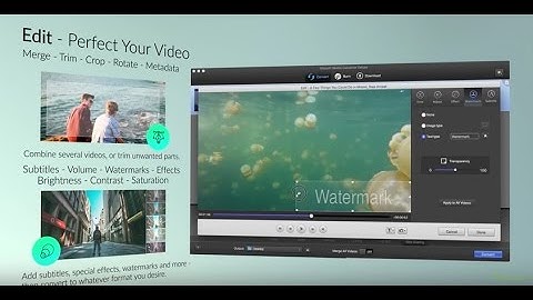 iSkysoft iMedia Converter Deluxe - Download Videos from YT, FB, Make Ringtones, Convert Any Video