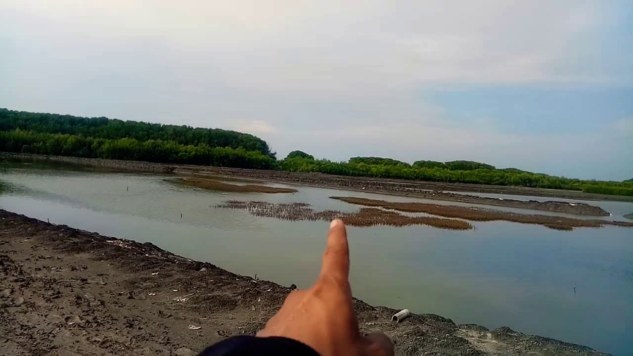 CARA NGAMBIL LUR CACING LAUT umpan jitu ikan sembilang 
