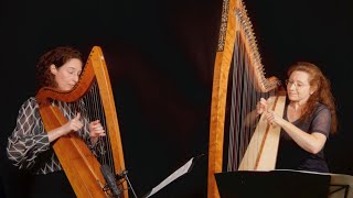 Celtic Harp Duo 
