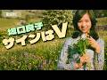 【歌詞付】サインはV 坂口良子