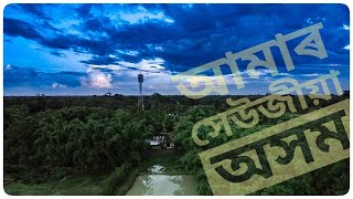 GREEN ASSAM ( Drone shots ) 2020