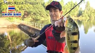 【ピーコックバス釣行】Peacock Bass FishingThailand November 2020 With O.S.P DURGA 73SP