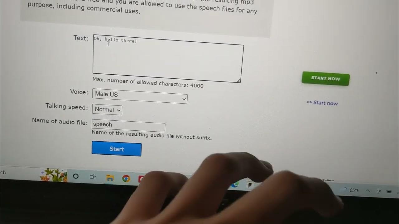 0th Prize fanmade voice tutorial YouTube