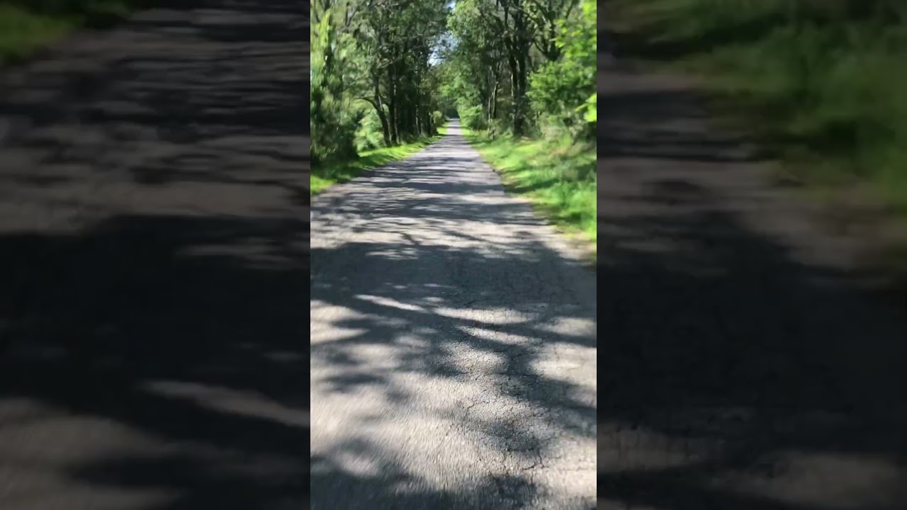 Descente en 🚵‍♀️ vers kerbourbon d’une main 🤚