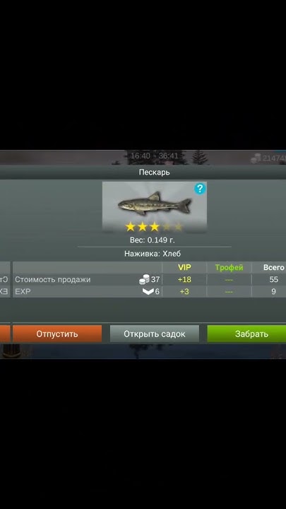 #карась #игра #плотва #рыбак #сом #игры #рыба #рыбалка #лещь - YouTube