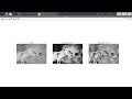 Histograms, Contours, and Morphological Transformations