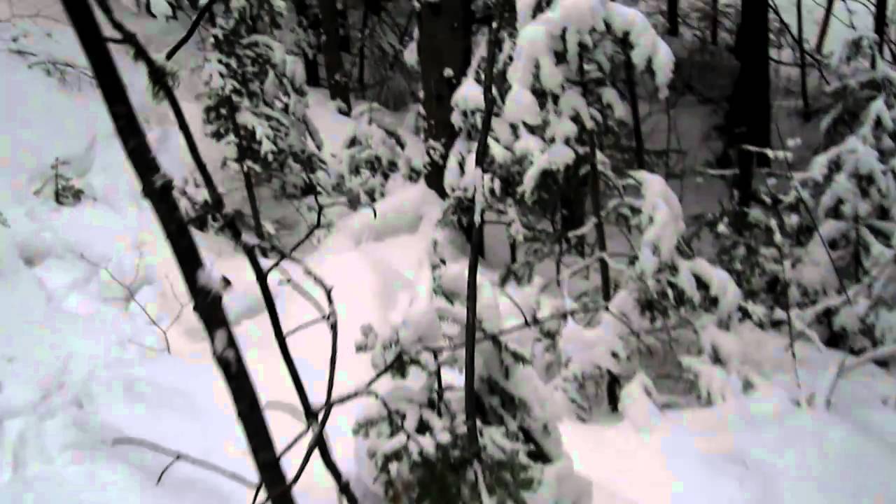 collets-li-vres-youtube