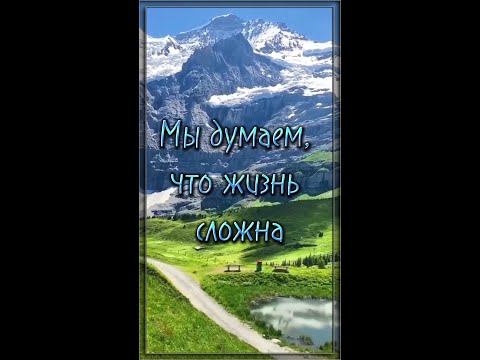 Стих со смыслом. 💯 Жизненная поэзия. 💯 Потрясающий стих. 💯 Мы думаем, что жизнь сложна... #shorts