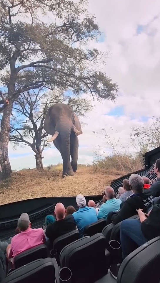 IMAX 3D Or 4DX Comment Down Your Opinions scary ghost ghostonroad imax-3d-or-4dx-comment-down-your-opinions-scary-ghost-ghostonroad