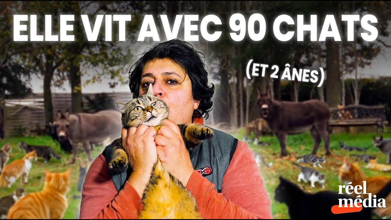 La comptable qui a tout sacrifié pour sauver des animaux battus