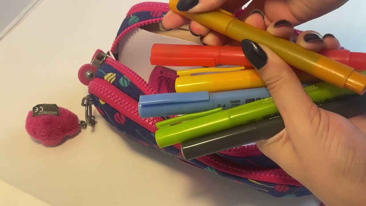 Organizando meu estojo da kipling gitroy para 2024