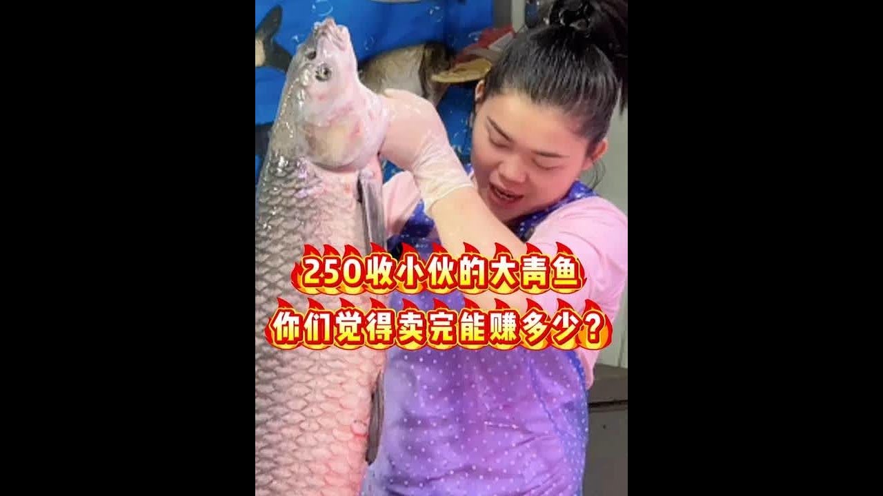 250收小伙的大青鱼你们觉得卖完能赚多少 