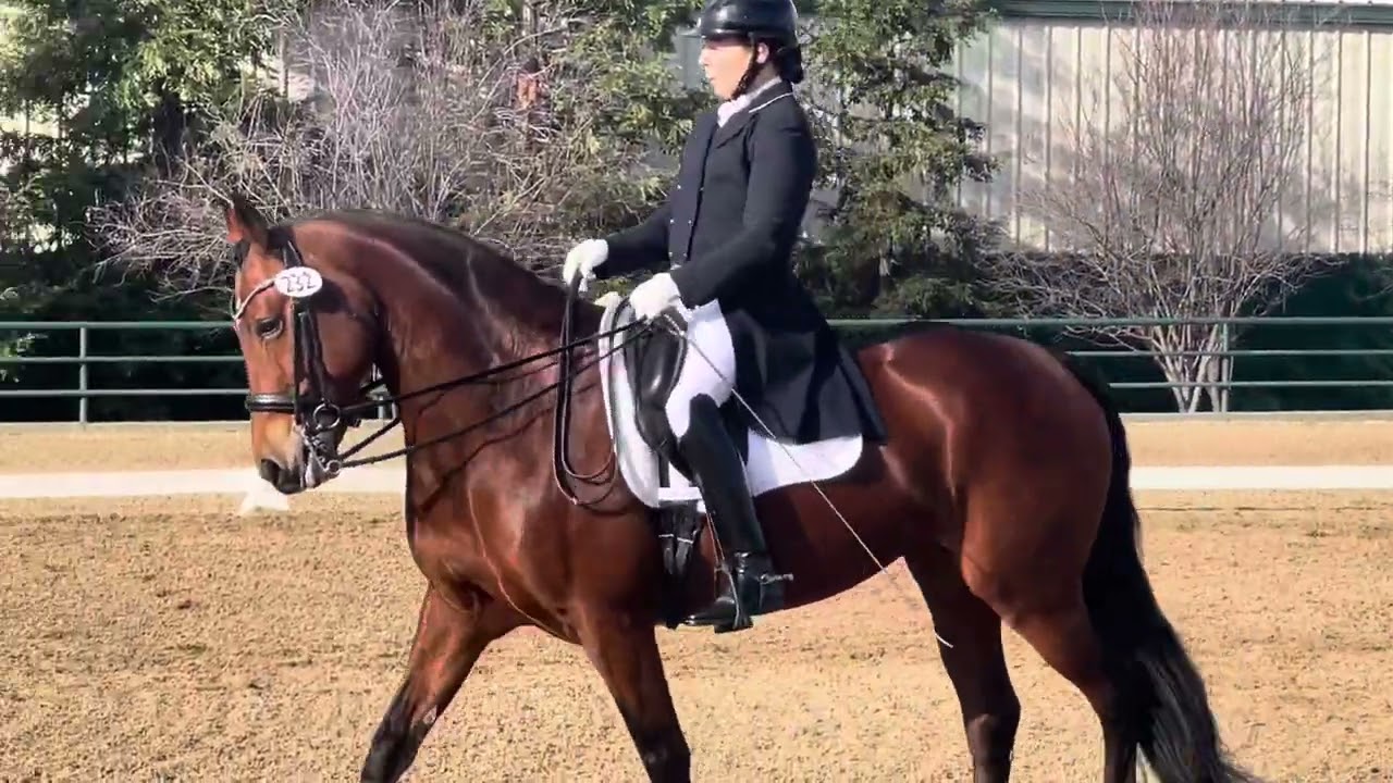 Prix St. Georges, January 2025   61.6%