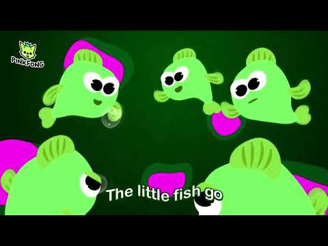 Shark Bus Song Effects