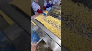 IQF frozen sweet corn