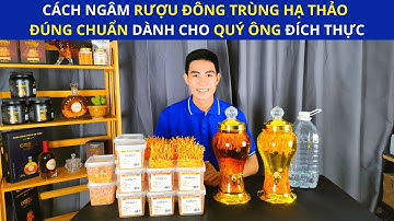 Cách ngâm rượu Đông trùng hạ thảo đúng chuẩn dành cho quý ông đích thực