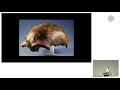 EMBL Keynote Lecture - Of Neanderthals and Denisovans, Svante Pääbo