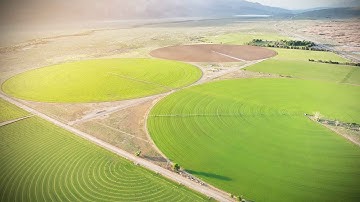 INCREDIBLY Large and Circular Fields - Why Circular Fields Are Preferred in Modern Agriculture