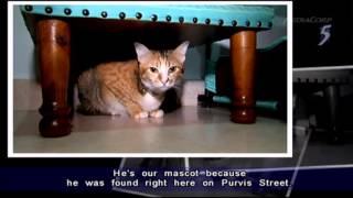 5 Questions With Otelli Edwards - 25Th Jan 2015