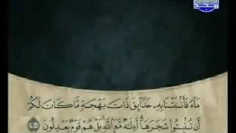 سورة النمل بتلاوة المقرئ الشيخ علي بن عبدالرحمن الحذيفي من قناة المجد للقرآن الكريم