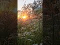 Лето, пожалуйста, помедленнее #nature #природа #лето #travel #music  #summer
