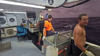 Offshore Fishing  Episode 14   Tk and the boys run across some large squid eating their giant Tuna