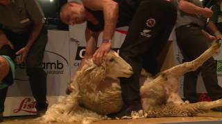 All Nations Open Shearing Final