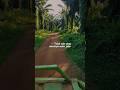 Tidak Ada YANG NAMANYA SALAH Jalan🌴#shorts #sawit #fyp #katakata #motivasihidupKategori: