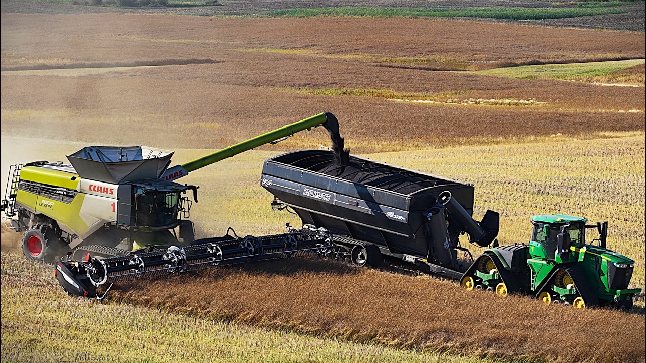 Harvest in Saskatchewan 2026: CLAAS Lexions tackle Canola (4K)