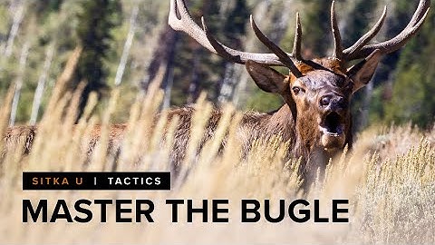 How to Elk Bugle - Learn The Fundamentals