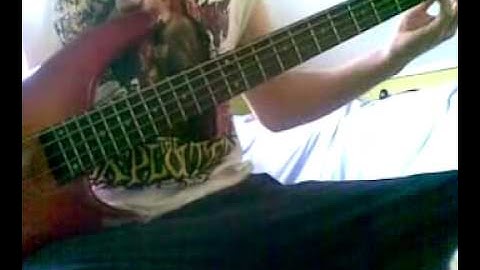 The Exploited - Punks not Dead Bass cover