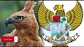 MANUK DADALI# ADELLA MUSIK DANGDUT