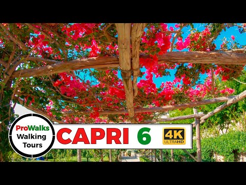 Capri Walking Tour 6 - The Gardens of Augustus and Charterhouse of San Giacomo in 4K