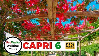 Capri Walking Tour 6  The Gardens of Augustus and Charterhouse of San Giacomo in 4K