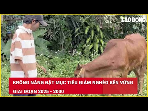 Krông Năng đặt mục tiêu giảm nghèo bền vững giai đoạn 2025 – 2030