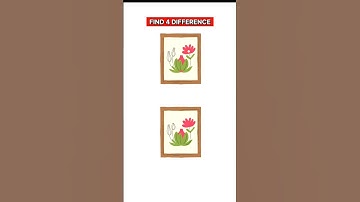 Spot The Difference #461 #quiz