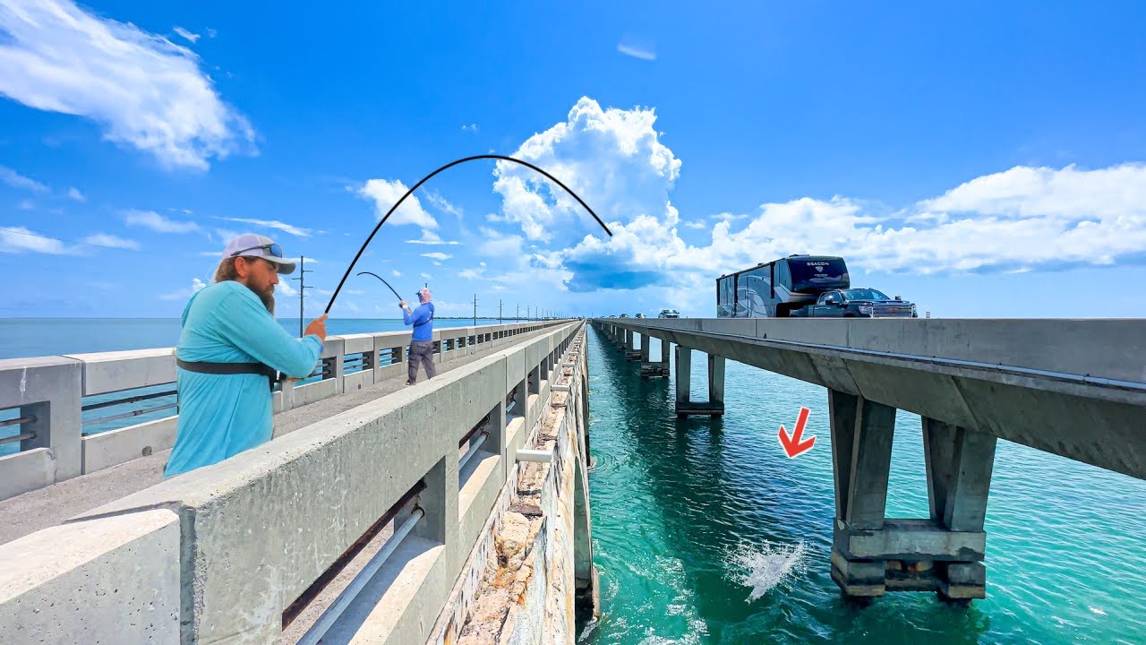 World's BEST Fishing Bridge Was LOADED! **FL Keys** 