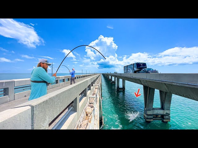 World's BEST Fishing Bridge Was LOADED! **FL Keys** 