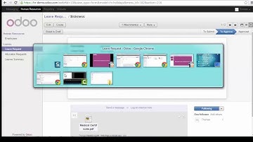 Odoo HR 4.3 Request your Compensatory Leaves - Quản lý nghỉ phép 2